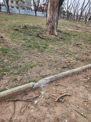 Прикрепленное изображение: 16.jpg